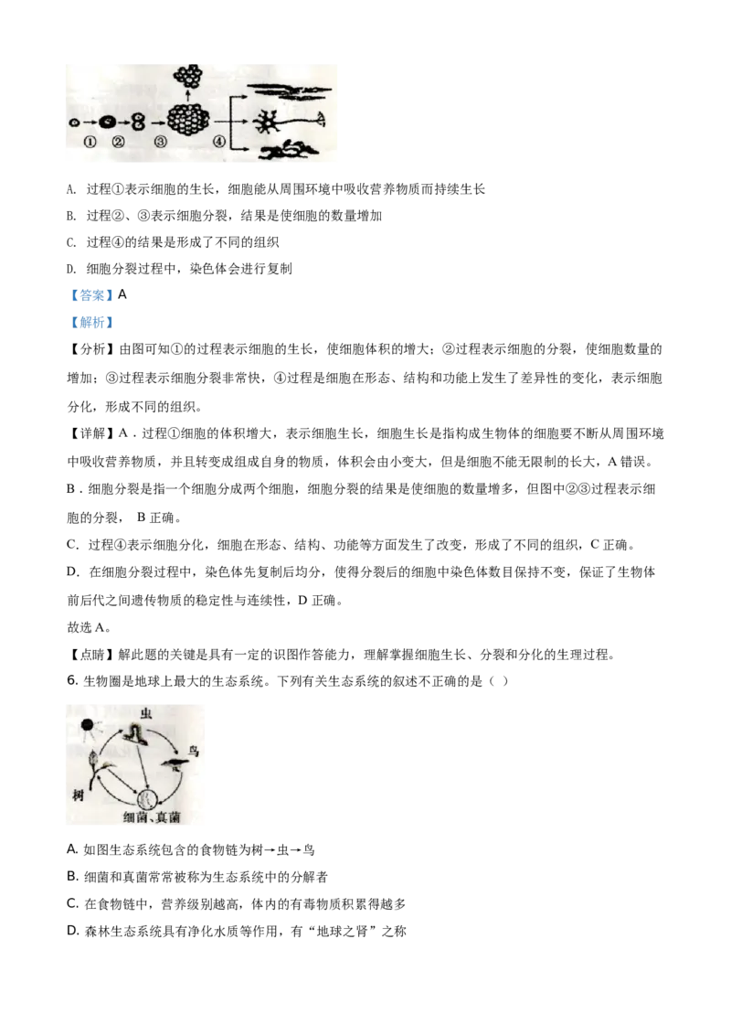 精品解析：湖南省衡阳市2021年中考生物试题（解析版）_中考真题_8.生物中考真题2015-2024年_地区卷_湖南省_湖南衡阳生物17-22