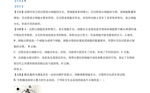 精品解析：湖南省衡阳市2021年中考生物试题（解析版）_中考真题_8.生物中考真题2015-2024年_地区卷_湖南省_湖南衡阳生物17-22