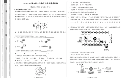 高一生物期中模拟卷（考试版A3）（上海专用）_1多考区联考试卷_1021高一期中模拟卷（上海专用）黄金卷：2024-2025学年高一上学期期中模拟考试