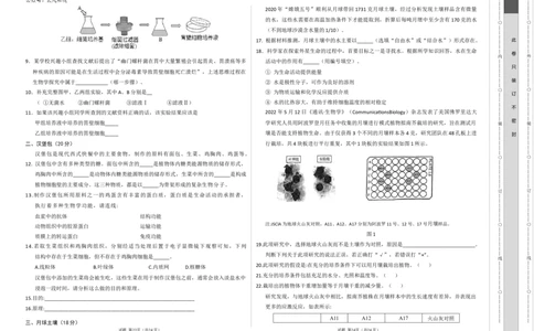 高一生物期中模拟卷（考试版A3）（上海专用）_1多考区联考试卷_1021高一期中模拟卷（上海专用）黄金卷：2024-2025学年高一上学期期中模拟考试