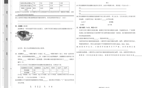 高一生物期中模拟卷（考试版A3）（上海专用）_1多考区联考试卷_1021高一期中模拟卷（上海专用）黄金卷：2024-2025学年高一上学期期中模拟考试