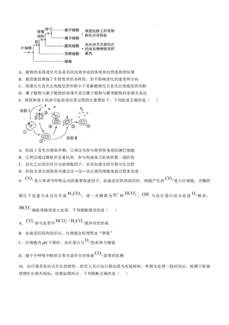 精品解析：2025年高考河南卷生物高考真题解析（参考版）_1.高考2025全国各省真题+答案_00.2025各省市高考真题及答案（按省份分类）_12、河南卷（9科全）_生物