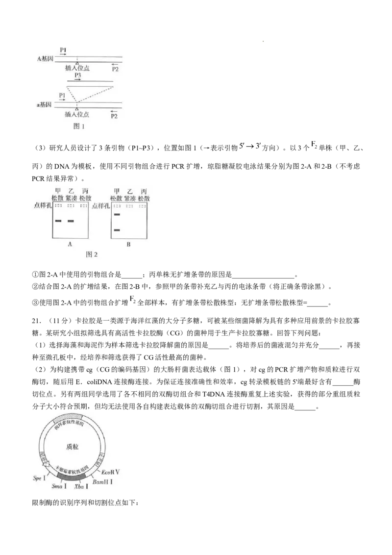 精品解析：2025年高考河南卷生物高考真题解析（参考版）_1.高考2025全国各省真题+答案_00.2025各省市高考真题及答案（按省份分类）_12、河南卷（9科全）_生物
