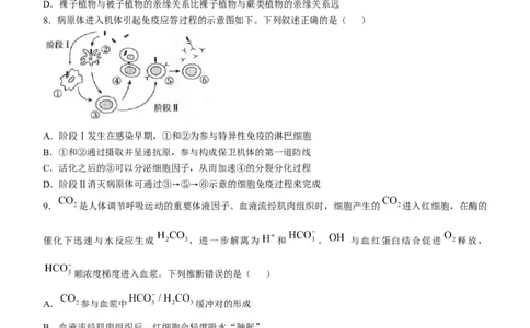 精品解析：2025年高考河南卷生物高考真题解析（参考版）_1.高考2025全国各省真题+答案_00.2025各省市高考真题及答案（按省份分类）_12、河南卷（9科全）_生物