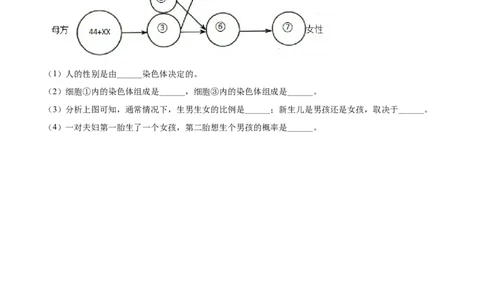 精品解析：贵州省黔东南州2021年中考生物试题（原卷版）_中考真题_8.生物中考真题2015-2024年_地区卷_贵州省_贵州黔东南生物（只有2021）