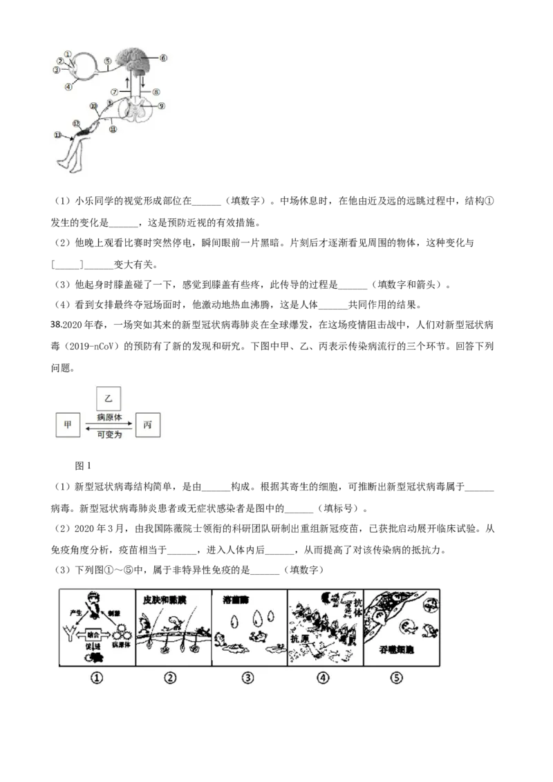 精品解析：山东省青岛市2020年中考生物试题（原卷版）_中考真题_8.生物中考真题2015-2024年_2020生物真题74份_2020年中考真题解析生物(山东青岛卷)精编word版