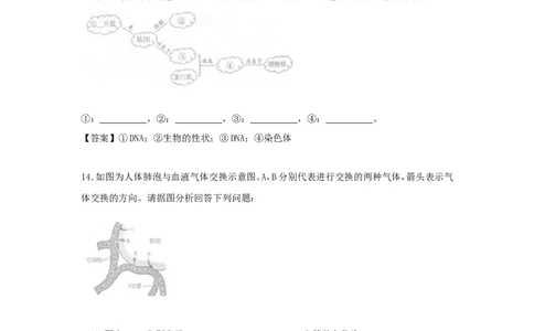 贵州省贵阳市2018年中考生物真题试题（含答案）_中考真题_8.生物中考真题2015-2024年_2018年全国中考生物141份