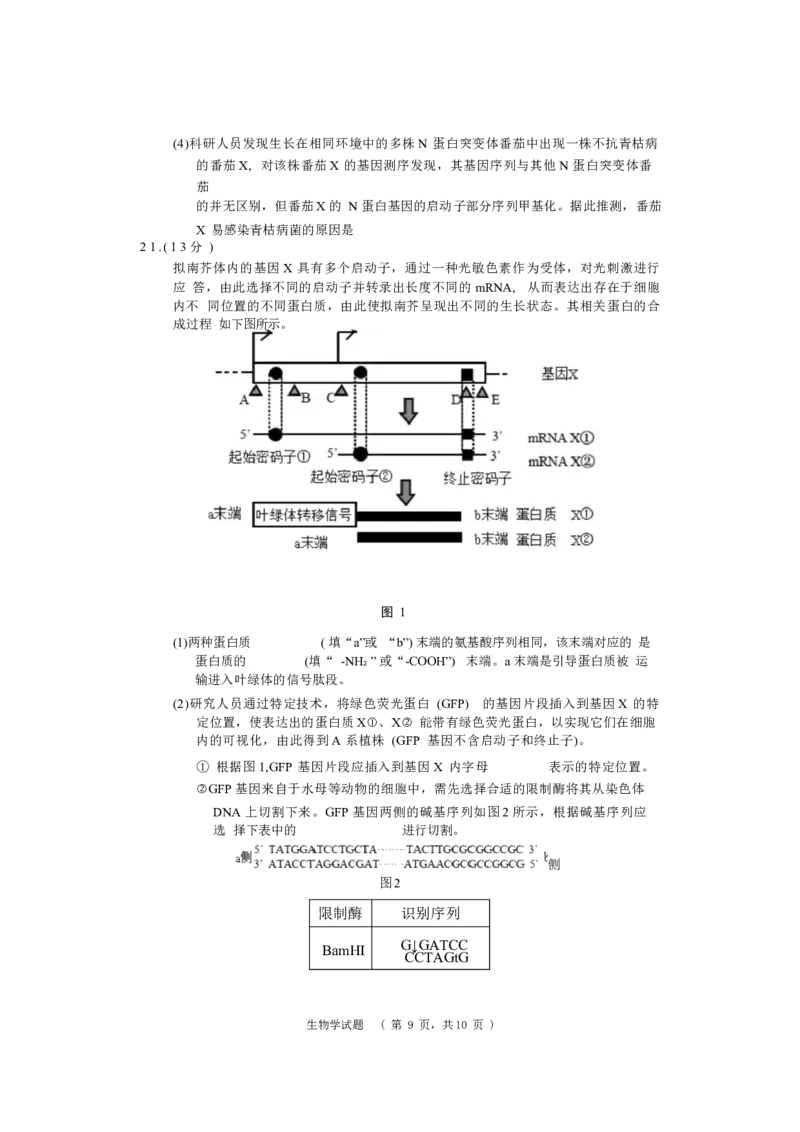 长郡生物_无_2024届湖南省长沙市长郡中学高三上学期期末适应性考试_湖南省长沙市长郡中学2024届高三上学期期末适应性考试生物