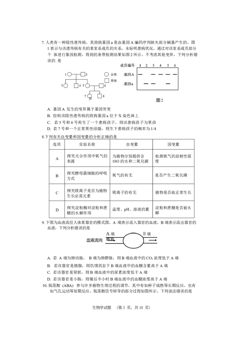 长郡生物_无_2024届湖南省长沙市长郡中学高三上学期期末适应性考试_湖南省长沙市长郡中学2024届高三上学期期末适应性考试生物