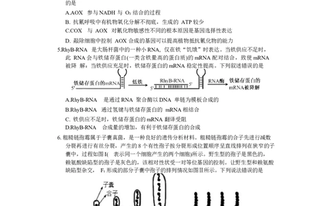 长郡生物_无_2024届湖南省长沙市长郡中学高三上学期期末适应性考试_湖南省长沙市长郡中学2024届高三上学期期末适应性考试生物