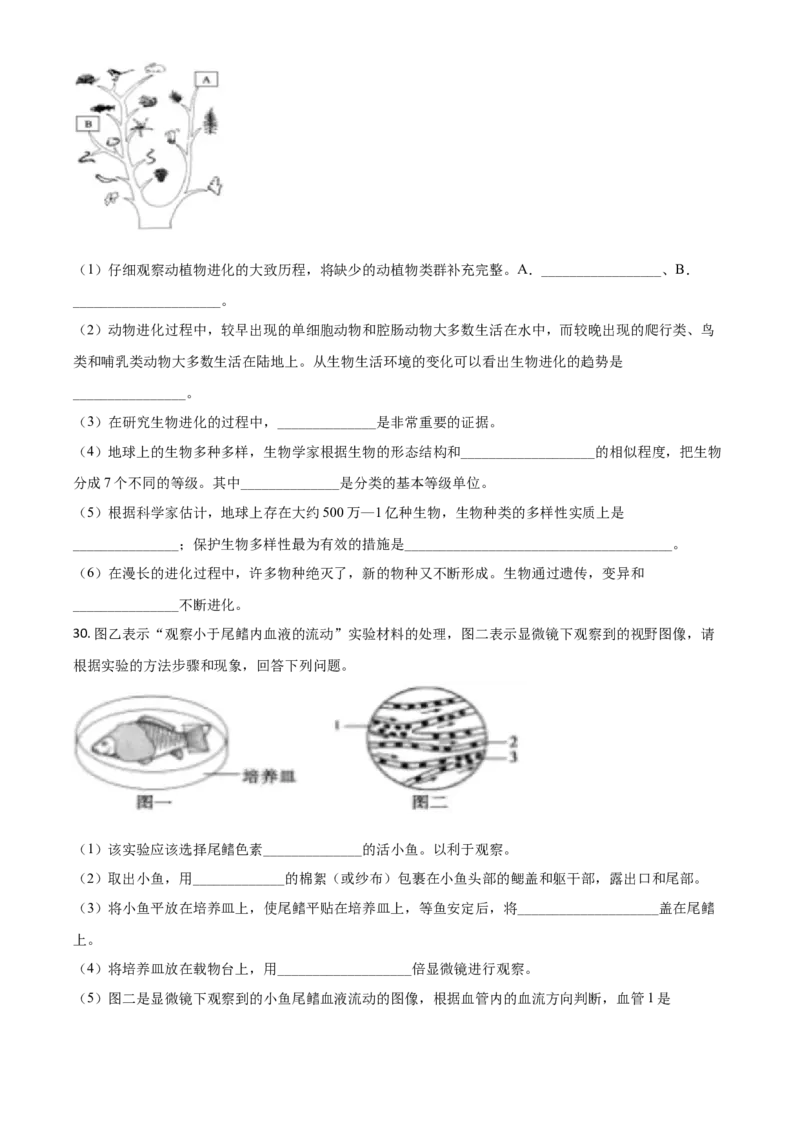 精品解析：山东省聊城市2020年中考生物试题（原卷版）_中考真题_8.生物中考真题2015-2024年_2020生物真题74份_2020年中考真题精品解析生物（山东聊城卷）精编word版