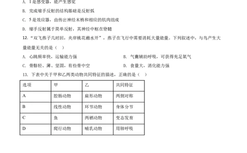 精品解析：山东省聊城市2020年中考生物试题（原卷版）_中考真题_8.生物中考真题2015-2024年_2020生物真题74份_2020年中考真题精品解析生物（山东聊城卷）精编word版