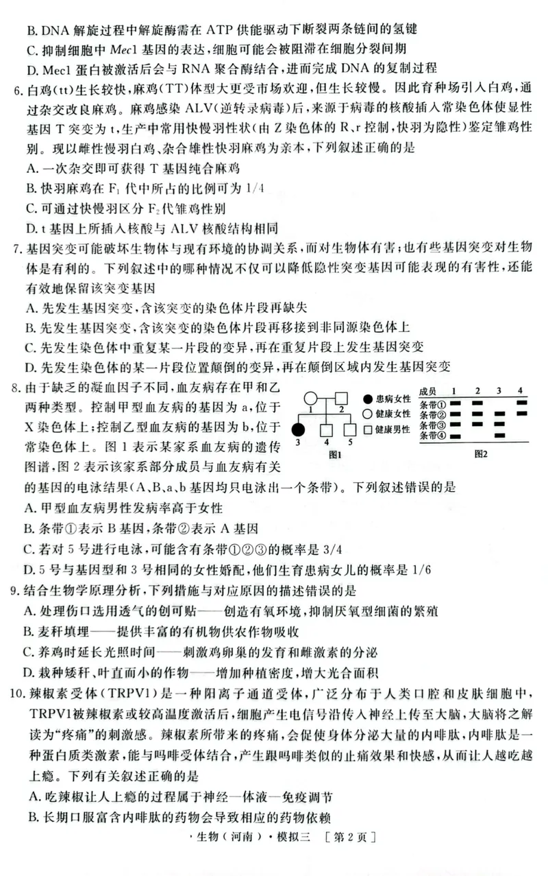 2025届河南省豫东部分名校高三下学期三模生物试题_2025年4月_250423河南省豫东部分名校2025届高三下学期三模_2025届河南省豫东部分名校高三下学期三模生物试题