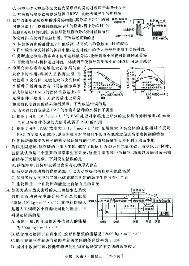 2025届河南省豫东部分名校高三下学期三模生物试题_2025年4月_250423河南省豫东部分名校2025届高三下学期三模_2025届河南省豫东部分名校高三下学期三模生物试题