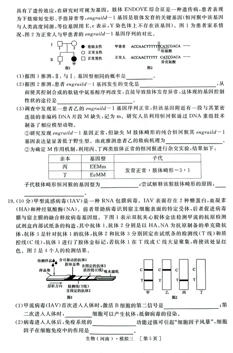 2025届河南省豫东部分名校高三下学期三模生物试题_2025年4月_250423河南省豫东部分名校2025届高三下学期三模_2025届河南省豫东部分名校高三下学期三模生物试题