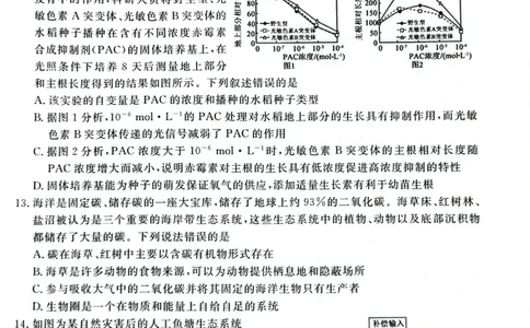 2025届河南省豫东部分名校高三下学期三模生物试题_2025年4月_250423河南省豫东部分名校2025届高三下学期三模_2025届河南省豫东部分名校高三下学期三模生物试题