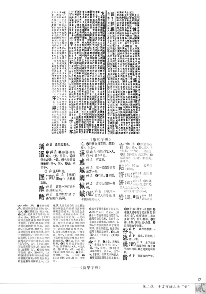 高中语文语言文字应用_4-教培资料-26年最新资料-同步更新_初中高中教资_03科三专项（进去保存报考的学科即可）_02科三专项（笔记真题思维导图教学设计版本二）