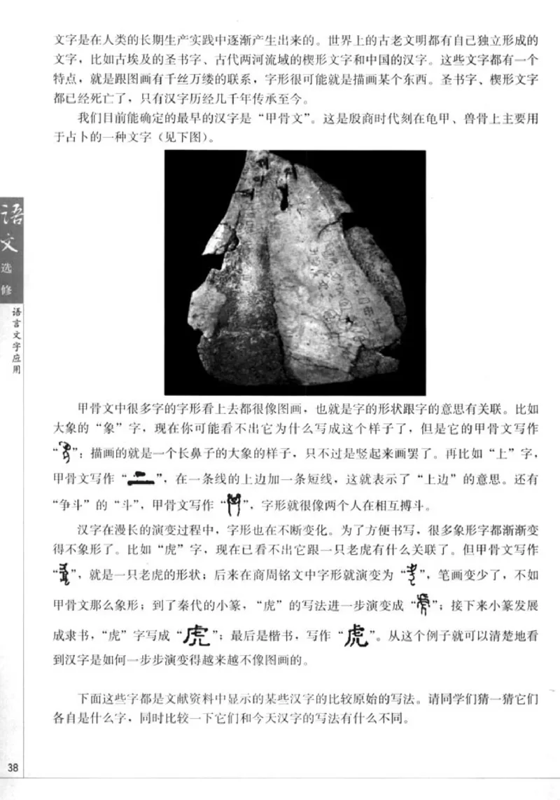 高中语文语言文字应用_4-教培资料-26年最新资料-同步更新_初中高中教资_03科三专项（进去保存报考的学科即可）_02科三专项（笔记真题思维导图教学设计版本二）