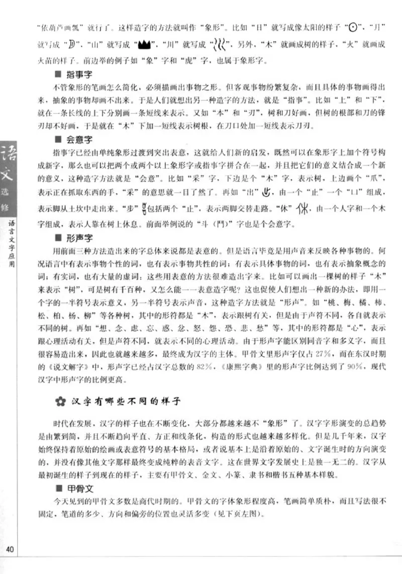 高中语文语言文字应用_4-教培资料-26年最新资料-同步更新_初中高中教资_03科三专项（进去保存报考的学科即可）_02科三专项（笔记真题思维导图教学设计版本二）