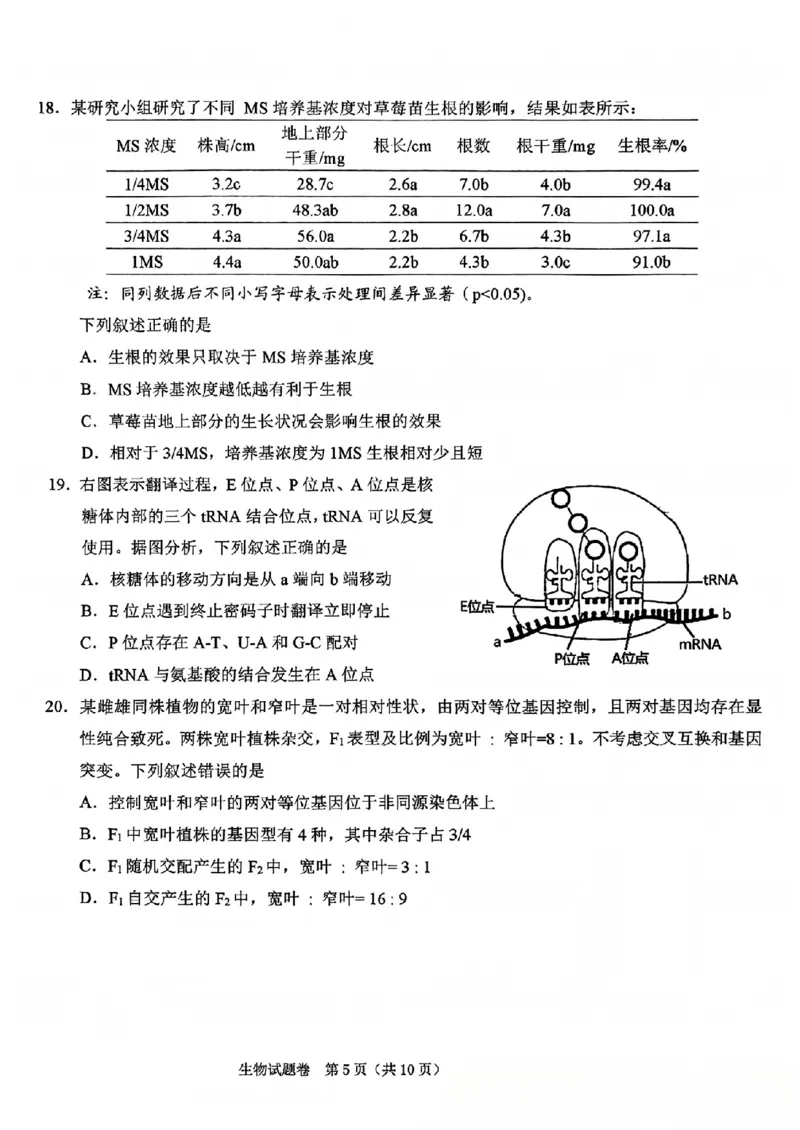 2025届浙江省绍兴市高三下学期4月二模生物试题_2025年4月_250411浙江省绍兴市2025届高三下学期4月二模（全科）_浙江省绍兴市2025届高三下学期4月二模试题生物