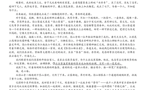 2025届湖南省长沙市地质中学高三一模语文试题_2025年3月_250321湖南省长沙市地质中学2025届高三下学期一模_湖南省长沙市地质中学2025届高三下学期一模语文