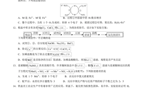 高一化学上学期第一次月考（四川专用，人教版2019）（考试版）_1多考区联考试卷_2510092025-2026学年高一化学上学期第一次月考