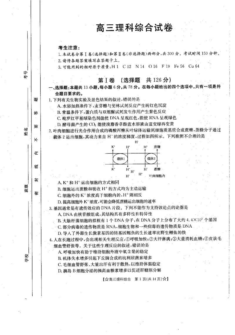 青海省2024届高三协作联考高三理科综合试卷_2024届青海省协作联考高三上学期一模（金太阳角标☆）_2024届青海省协作联考高三上学期一模（金太阳角标☆）理综