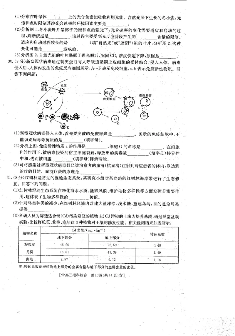 青海省2024届高三协作联考高三理科综合试卷_2024届青海省协作联考高三上学期一模（金太阳角标☆）_2024届青海省协作联考高三上学期一模（金太阳角标☆）理综