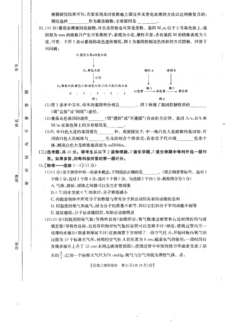 青海省2024届高三协作联考高三理科综合试卷_2024届青海省协作联考高三上学期一模（金太阳角标☆）_2024届青海省协作联考高三上学期一模（金太阳角标☆）理综