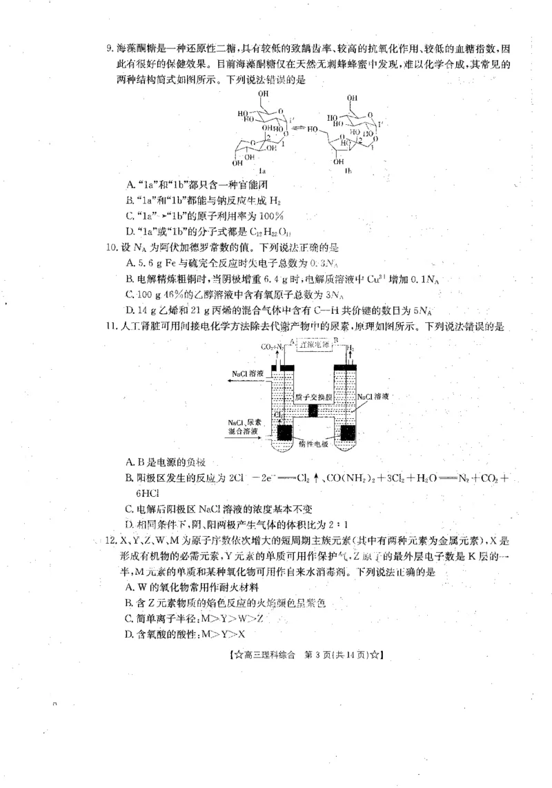青海省2024届高三协作联考高三理科综合试卷_2024届青海省协作联考高三上学期一模（金太阳角标☆）_2024届青海省协作联考高三上学期一模（金太阳角标☆）理综