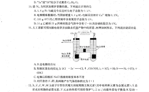 青海省2024届高三协作联考高三理科综合试卷_2024届青海省协作联考高三上学期一模（金太阳角标☆）_2024届青海省协作联考高三上学期一模（金太阳角标☆）理综