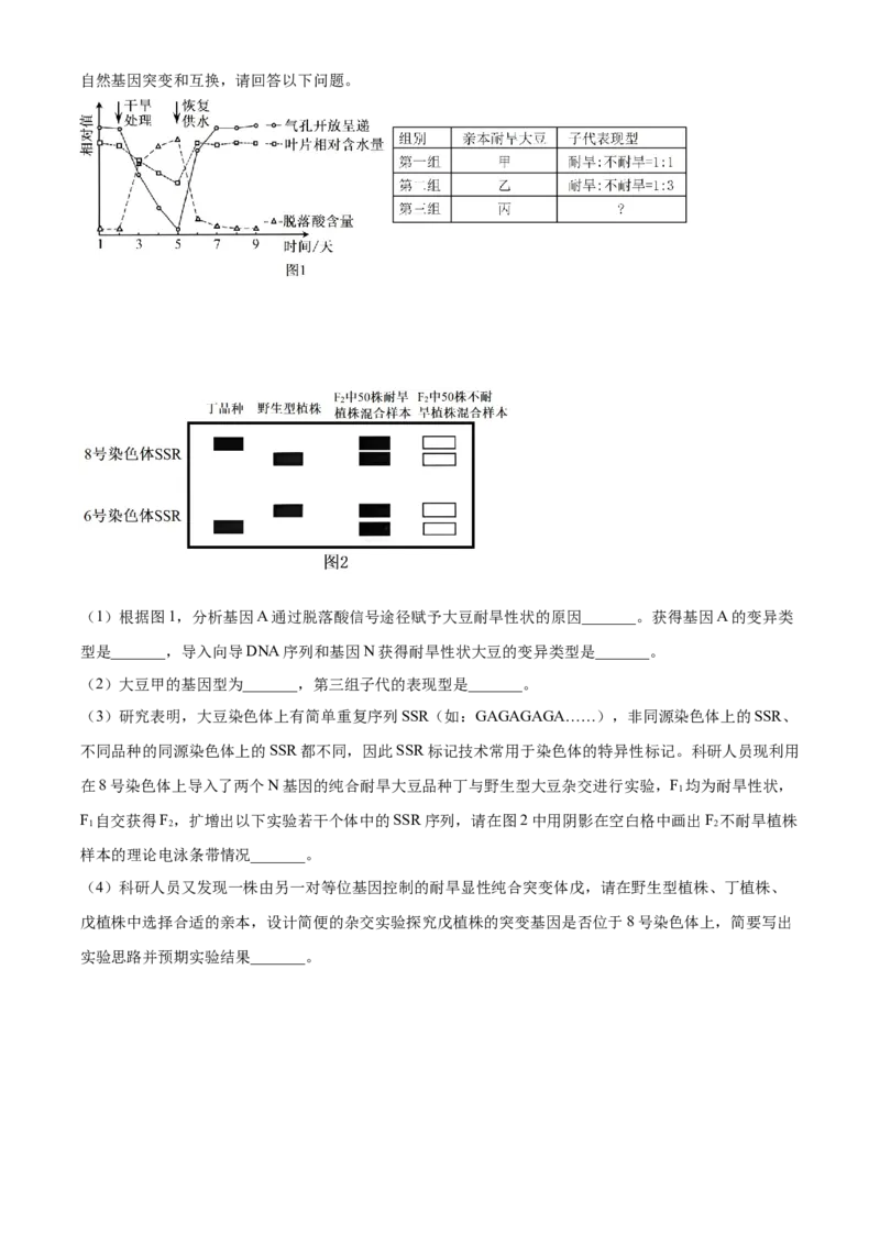 2025届黑龙江省齐齐哈尔市高三下学期一模生物学试题（含答案）_2025年3月_2503032025届黑龙江省齐齐哈尔市高三下学期一模