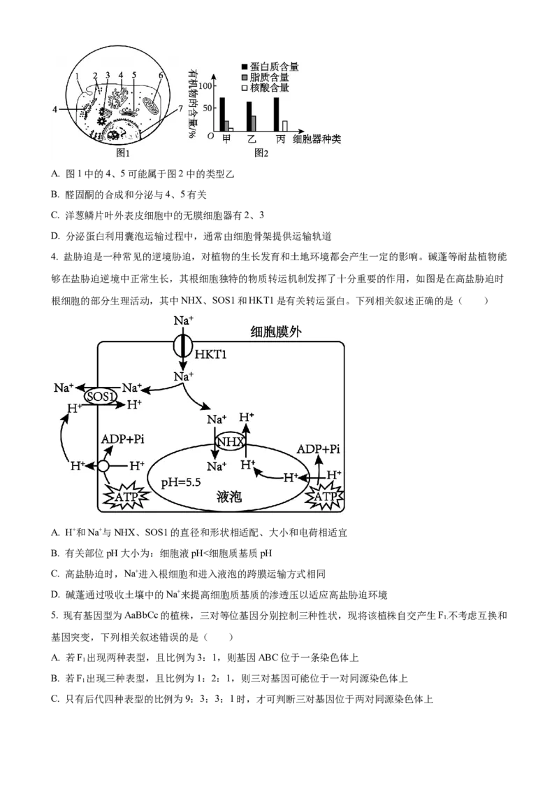 2025届黑龙江省齐齐哈尔市高三下学期一模生物学试题（含答案）_2025年3月_2503032025届黑龙江省齐齐哈尔市高三下学期一模