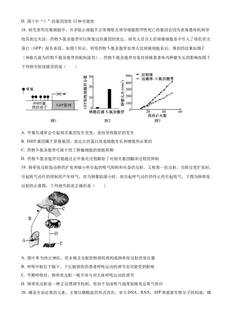 2025届黑龙江省齐齐哈尔市高三下学期一模生物学试题（含答案）_2025年3月_2503032025届黑龙江省齐齐哈尔市高三下学期一模