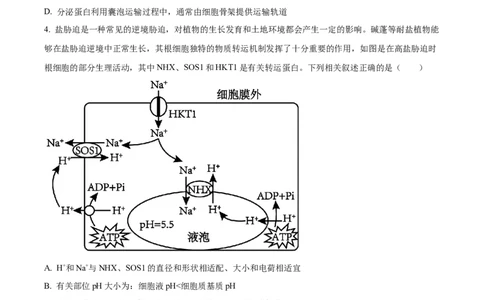 2025届黑龙江省齐齐哈尔市高三下学期一模生物学试题（含答案）_2025年3月_2503032025届黑龙江省齐齐哈尔市高三下学期一模