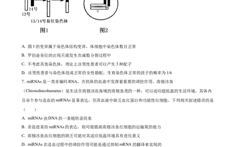 2025届黑龙江省齐齐哈尔市高三下学期一模生物学试题（含答案）_2025年3月_2503032025届黑龙江省齐齐哈尔市高三下学期一模