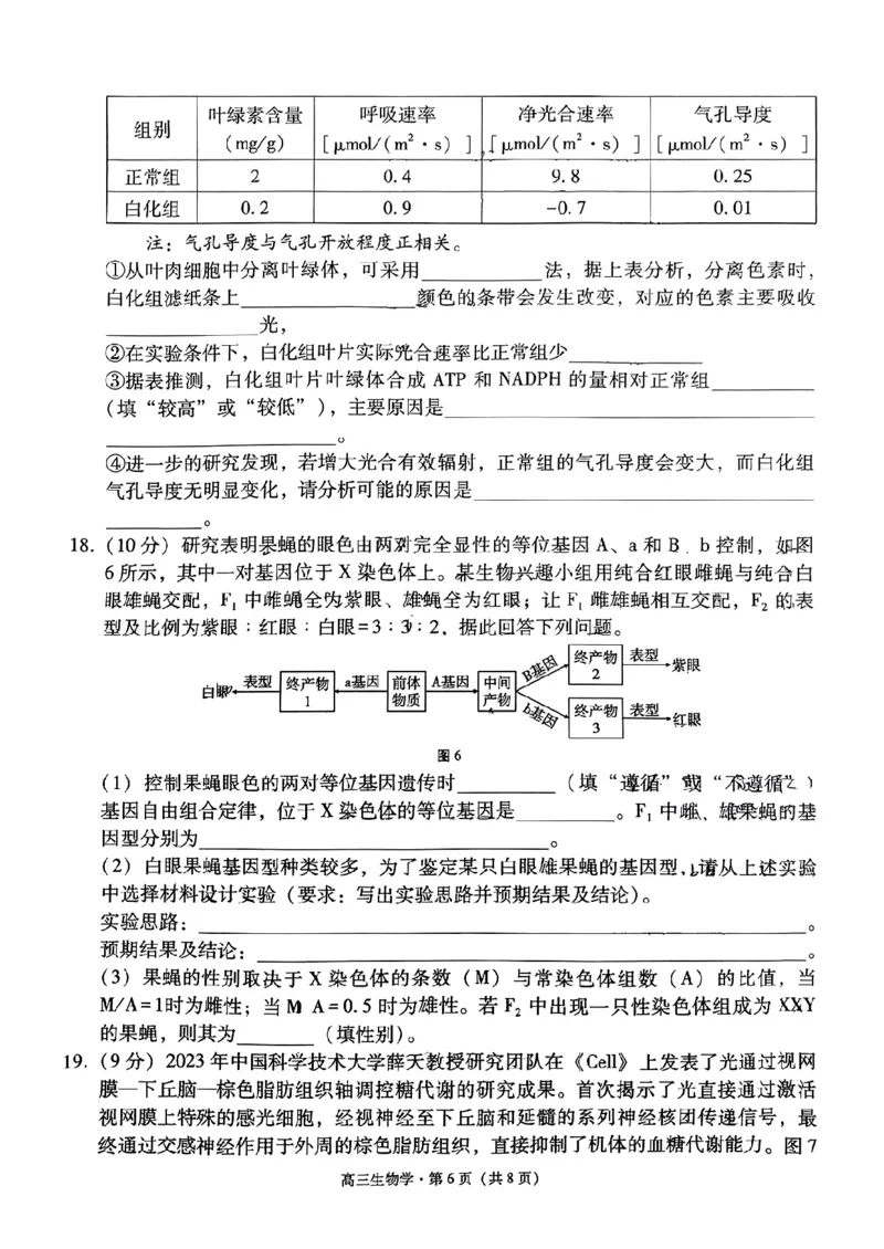 云南省保山市2024-2025学年高三上学期1月期末质量监测生物_2025年1月_250120云南省保山市2024-2025学年高三上学期1月期末质量监测试题