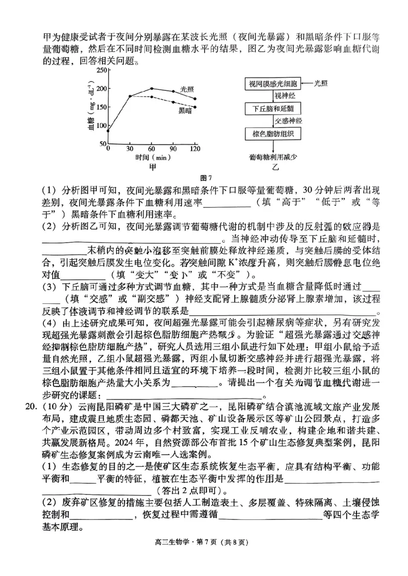 云南省保山市2024-2025学年高三上学期1月期末质量监测生物_2025年1月_250120云南省保山市2024-2025学年高三上学期1月期末质量监测试题