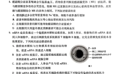 云南省保山市2024-2025学年高三上学期1月期末质量监测生物_2025年1月_250120云南省保山市2024-2025学年高三上学期1月期末质量监测试题