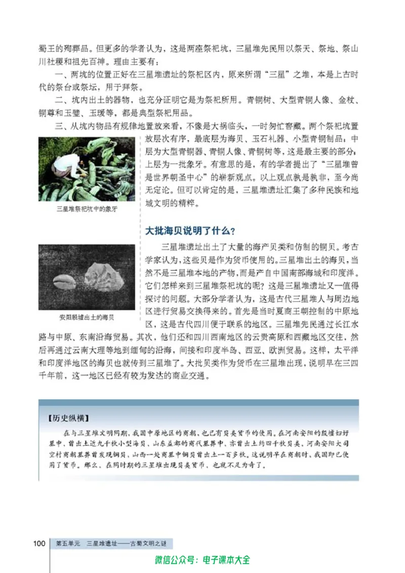 高中历史选修5探索历史的奥秘_4-教培资料-26年最新资料-同步更新_初中高中教资_03科三专项（进去保存报考的学科即可）_02科三专项（笔记真题思维导图教学设计版本二）