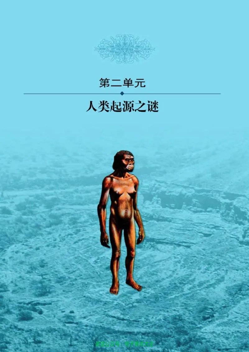 高中历史选修5探索历史的奥秘_4-教培资料-26年最新资料-同步更新_初中高中教资_03科三专项（进去保存报考的学科即可）_02科三专项（笔记真题思维导图教学设计版本二）