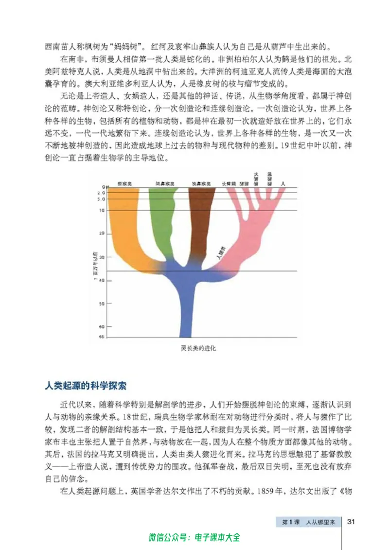 高中历史选修5探索历史的奥秘_4-教培资料-26年最新资料-同步更新_初中高中教资_03科三专项（进去保存报考的学科即可）_02科三专项（笔记真题思维导图教学设计版本二）