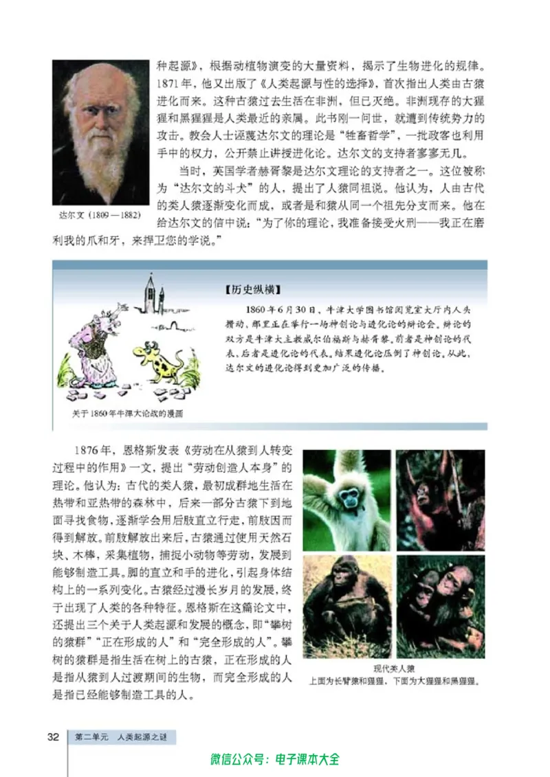 高中历史选修5探索历史的奥秘_4-教培资料-26年最新资料-同步更新_初中高中教资_03科三专项（进去保存报考的学科即可）_02科三专项（笔记真题思维导图教学设计版本二）