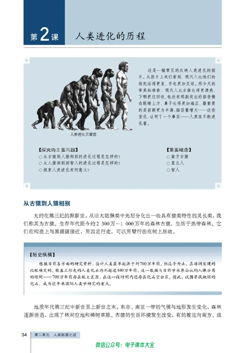 高中历史选修5探索历史的奥秘_4-教培资料-26年最新资料-同步更新_初中高中教资_03科三专项（进去保存报考的学科即可）_02科三专项（笔记真题思维导图教学设计版本二）