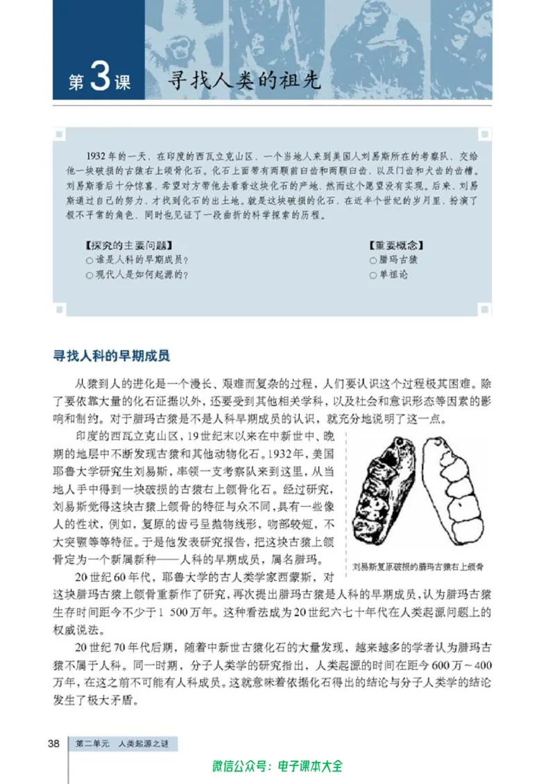 高中历史选修5探索历史的奥秘_4-教培资料-26年最新资料-同步更新_初中高中教资_03科三专项（进去保存报考的学科即可）_02科三专项（笔记真题思维导图教学设计版本二）