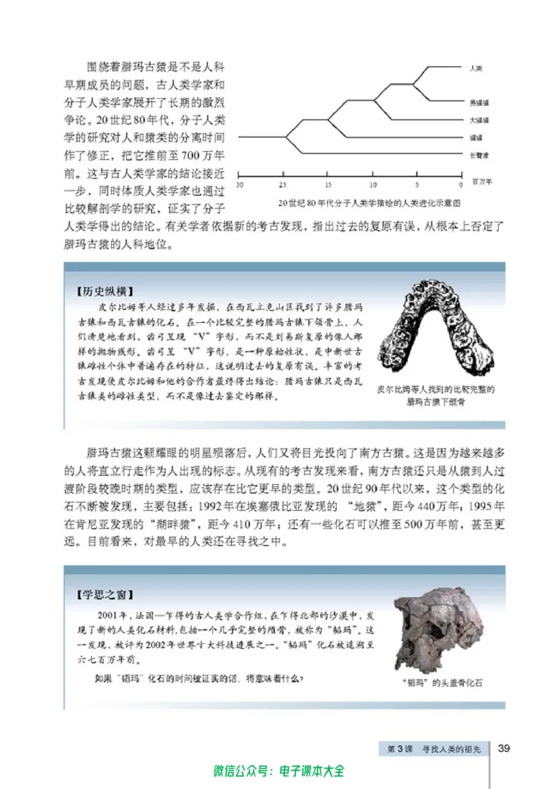 高中历史选修5探索历史的奥秘_4-教培资料-26年最新资料-同步更新_初中高中教资_03科三专项（进去保存报考的学科即可）_02科三专项（笔记真题思维导图教学设计版本二）