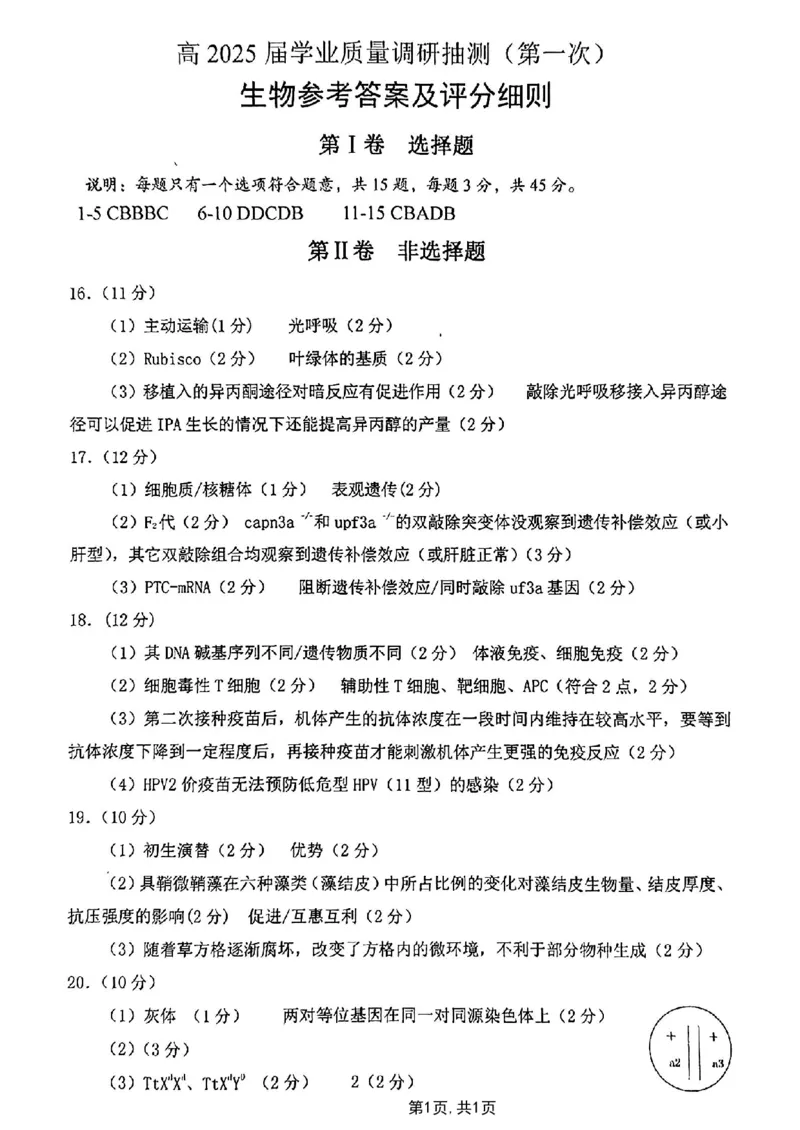 2025届重庆主城五区一诊生物答案_2025年1月_250116重庆主城五区一诊暨九龙坡高2025届学业质量调研抽测（全科）_2025届重庆主城五区一诊生物