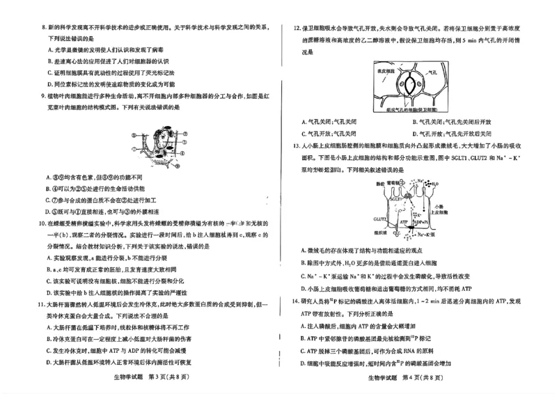 生物试题大联考_1多考区联考试卷_1217天一大联考2024-2025学年高一年级12月阶段性测试（二）_河南省名校大联考2024-2025学年高一上学期12月月考生物试题