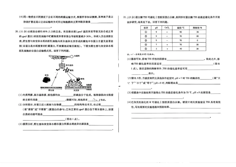 生物试题大联考_1多考区联考试卷_1217天一大联考2024-2025学年高一年级12月阶段性测试（二）_河南省名校大联考2024-2025学年高一上学期12月月考生物试题