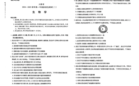 生物试题大联考_1多考区联考试卷_1217天一大联考2024-2025学年高一年级12月阶段性测试（二）_河南省名校大联考2024-2025学年高一上学期12月月考生物试题
